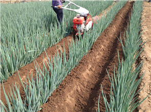 大蔥多功能微耕機