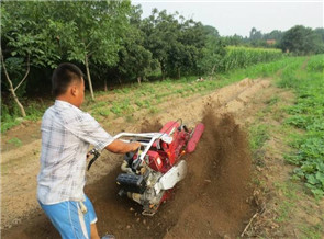 開溝埋藤機(jī)